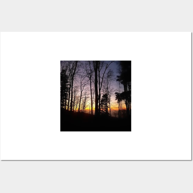 Trees Silhouette Colorful Sunset in Zagreb, Croatia Wall Art by DesignMore21